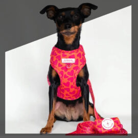 categoria.pet